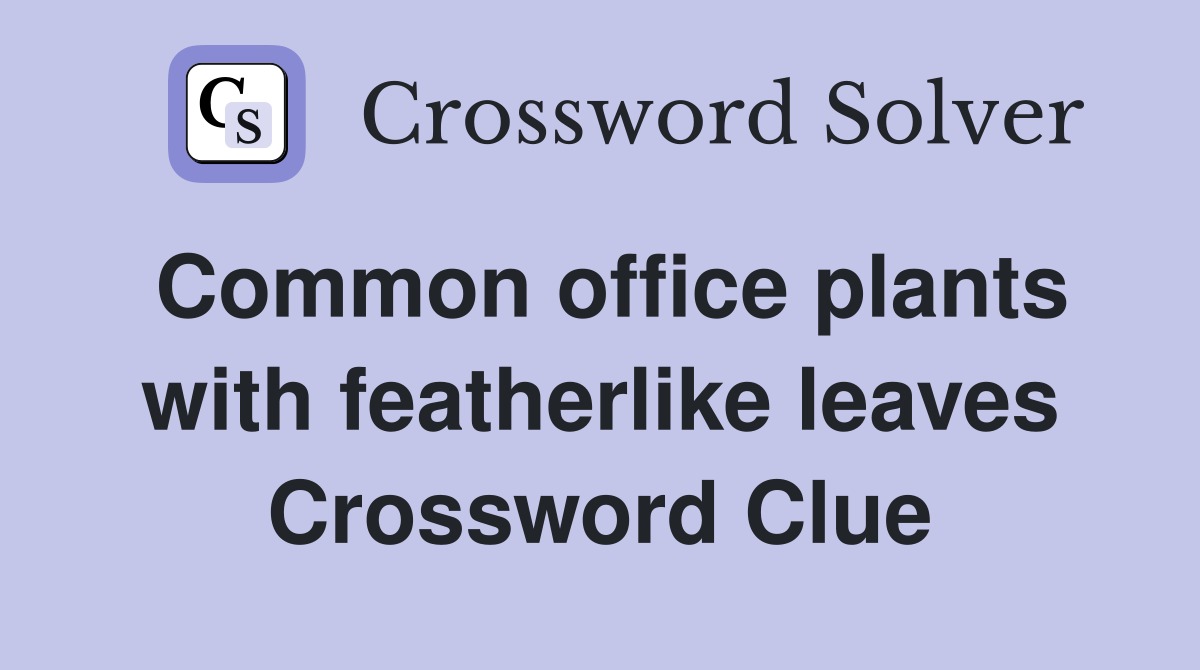 Common office plants with featherlike leaves Crossword Clue Answers